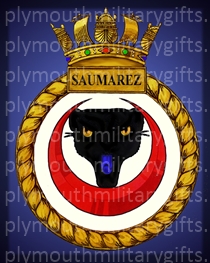 HMS Saumarez Magnet